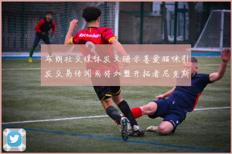 布朗社交媒体发文暗示喜爱猫咪引发交易传闻或将加盟开拓者尼克斯雷霆湖人