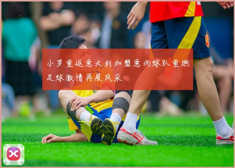 小罗重返意大利加盟意丙球队重燃足球激情再展风采
